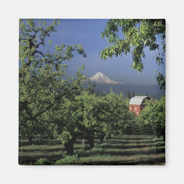 NA, USA, Oregon, nähe Hood River Hood with Magnet (Vorne)