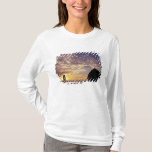 NA, USA, Oregon, Oregon-Küste, Canon Beach mit T-Shirt