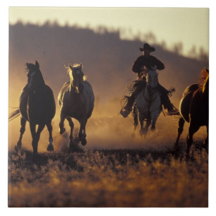 Na, USA, Oregon, Seneca, Ponderosa Ranch, Cowboy 2 Fliese