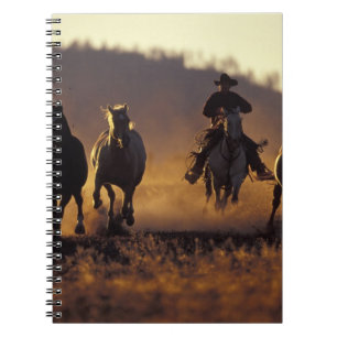 NA, USA, Oregon, Seneca, Ponderosa Ranch, Cowboy 2 Notizblock