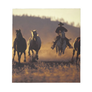 NA, USA, Oregon, Seneca, Ponderosa Ranch, Cowboy 2 Notizblock