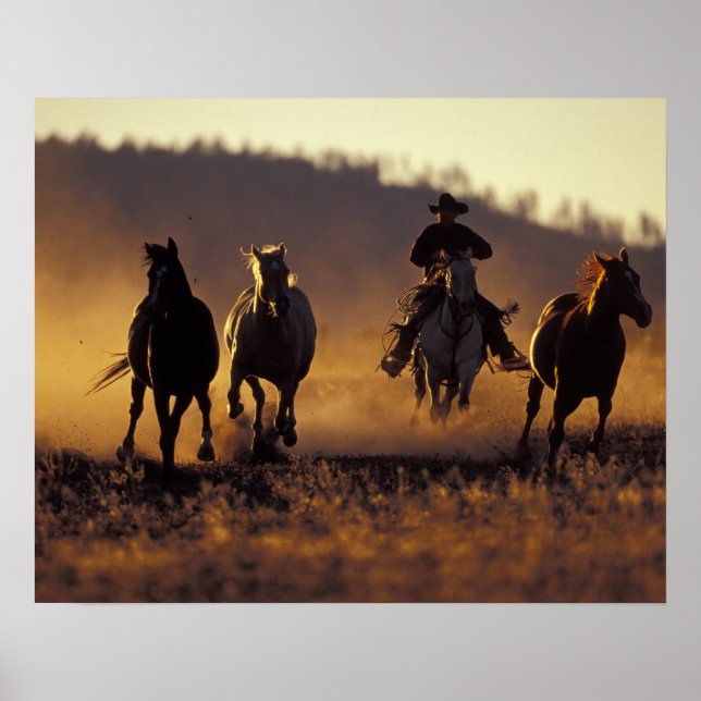 NA, USA, Oregon, Seneca, Ponderosa Ranch, Cowboy 2 Poster (Vorne)