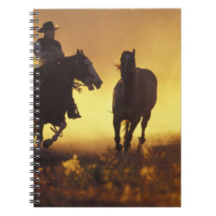 NA, USA, Oregon, Seneca, Ponderosa Ranch, Cowboy 3 Notizblock