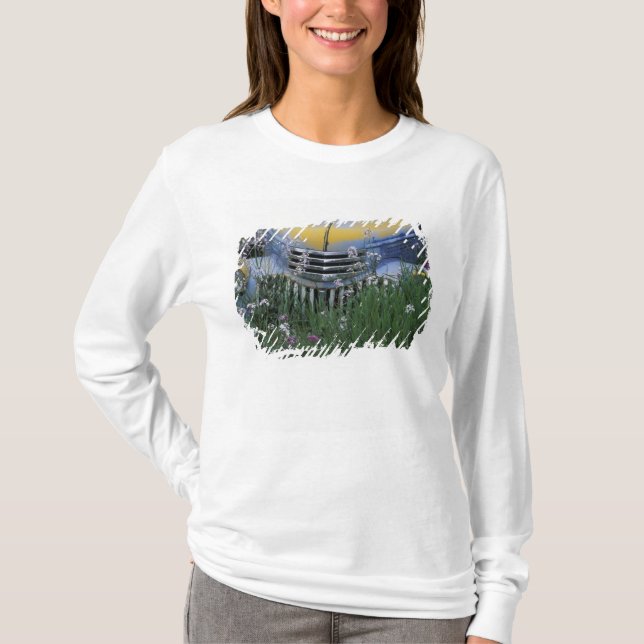 Na, USA, Ostwashington, alter LKW mit T-Shirt (Vorderseite)