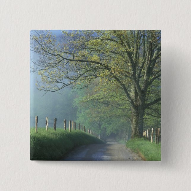 NA, USA, Tennessee, Cades Cove, Great Smoky Button (Vorderseite)