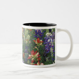 NA, USA, Texas, bei Marble Falls, Paint brush, Zweifarbige Tasse