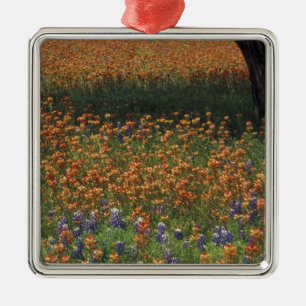 NA, USA, Texas, Hill Country, Pinsel und Ornament Aus Metall