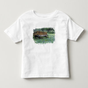 Na, USA, Texas, östlich Devine, alter Lastwagen Kleinkind T-shirt