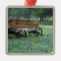 Na, USA, Texas, östlich Devine, alter Lastwagen