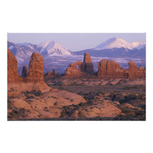 NA, USA, Utah, Arches National Park. Garten von Fotodruck