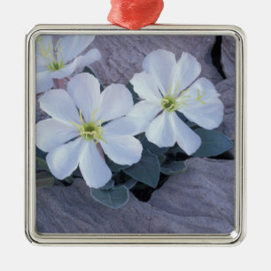 NA, USA, Utah, Arches NP, Nachtkerze Ornament Aus Metall