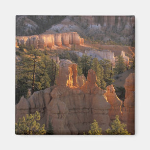 NA, USA, Utah, Bryce Canyon NP 2 Magnet