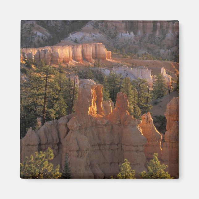 NA, USA, Utah, Bryce Canyon NP 2 Magnet (Vorne)