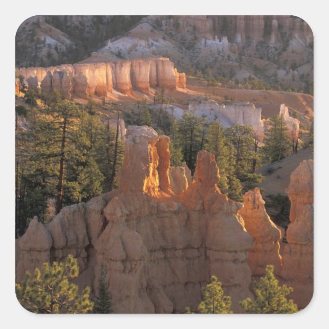 NA, USA, Utah, Bryce Canyon NP 2 Quadratischer Aufkleber (Vorderseite)