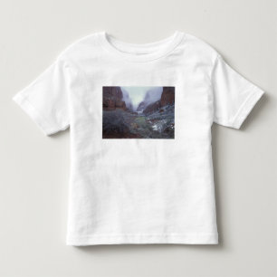NA, USA, Utah, Zion NP, Frühlings-Schneesturm, Kleinkind T-shirt