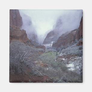 NA, USA, Utah, Zion NP, Frühlings-Schneesturm, Magnet