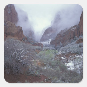 NA, USA, Utah, Zion NP, Frühlings-Schneesturm, Quadratischer Aufkleber