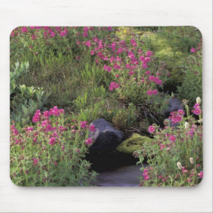 NA, USA, Washington, Mt. Rainier NP, Rosa Mousepad