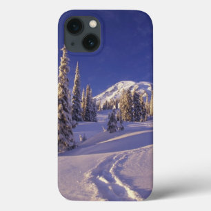 NA, USA, Washington, Mt. Rainier NP, Schneeschuh title_seo2