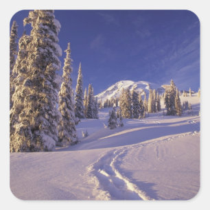 NA, USA, Washington, Mt. Rainier NP, Schneeschuh Quadratischer Aufkleber