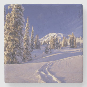 NA, USA, Washington, Mt. Rainier NP, Schneeschuh Steinuntersetzer