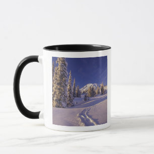 NA, USA, Washington, Mt. Rainier NP, Schneeschuhe Tasse