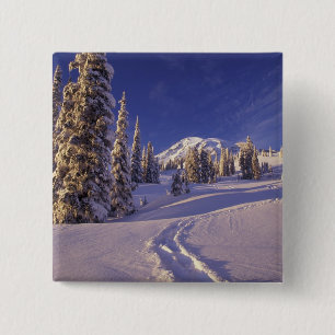 NA, USA, Washington, Mt. Rainier NP, Snowshoe Button