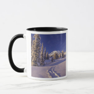 NA, USA, Washington, Mt. Rainier NP, Snowshoe Tasse