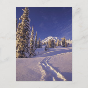 NA, USA, Washington, Mt. Rainier NP, Snowuh Postkarte