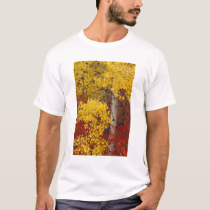 NA, USA, Washington, Wenatchee National Forest. T-Shirt