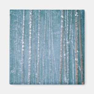 NA, USA, WY. Schnee-Winterlandschaft zwischen Magnet