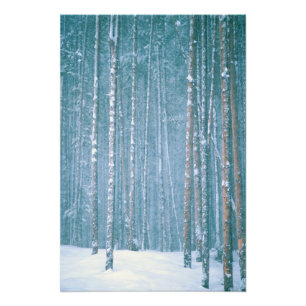 NA, USA, WY Schneewinterszene Fotodruck
