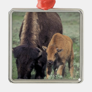 NA, USA, Wyoming, Yellowstone-Nationalpark. Silbernes Ornament