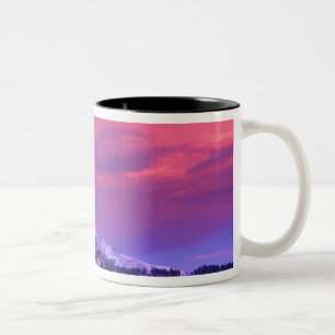 NA, USA, Wyoming, Yellowstone NP, Lamar Valley Zweifarbige Tasse