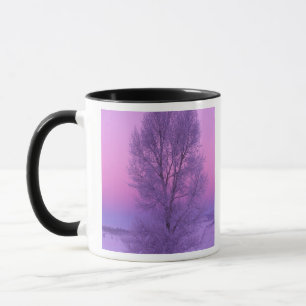 NA, USA, Wyoming, Yellowstone NP, Landschaft Tasse