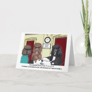 NAACP Poodle Card Karte