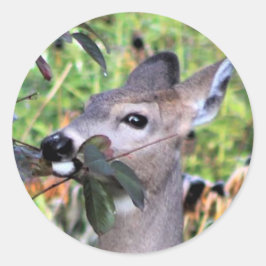 Nach dem Einfrieren suchen Runder Aufkleber