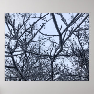 Nach dem Eissturm Poster