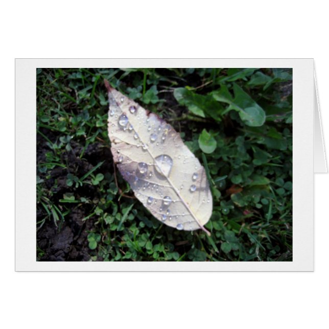 Nach dem Regen (Vorderseite (Horizontal))