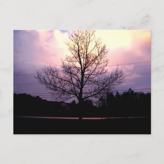 Nach dem Regen Postkarte (Vorderseite)