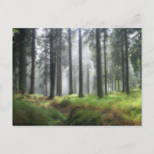 Nach dem Regen Postkarte