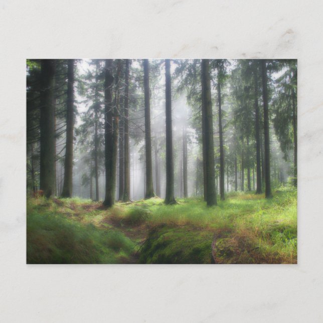 Nach dem Regen Postkarte (Vorderseite)