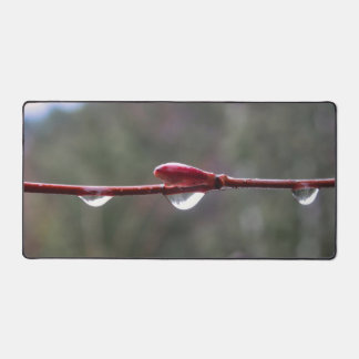 Nach dem Regen Schreibtischunterlage