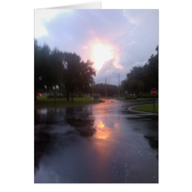 Nach dem Sturm (Vorne)