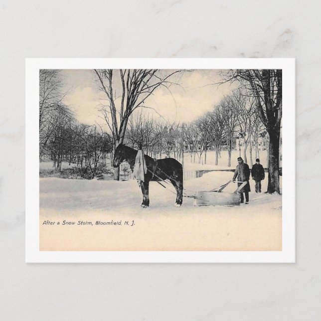 Nach einem Schneesturm, Bloomfield, NJ Vintag Postkarte (Vorderseite)