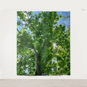 Nach oben schauend zu grünen Blättern und blauem H Wandteppich