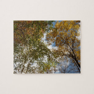 Nach oben zu Herbstlaub II Herbst Natur
