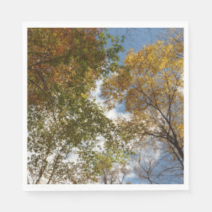Nach oben zu Herbstlaub II Herbst Natur Serviette