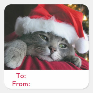 Nach und von Geschenk etikettiert Katzen-Aufkleber Quadratischer Aufkleber
