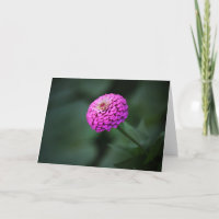 Nachdenkliche Zinnia-Anmerkungs-Karte